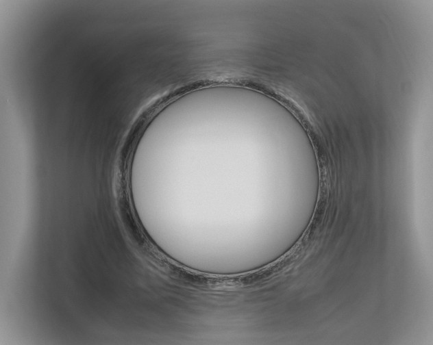 X0000112490587200908170953