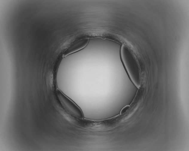 X0000112490589200908170953