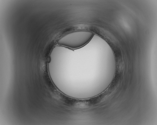 X0000112490595200908170953