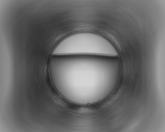 X0000112490596200908170953