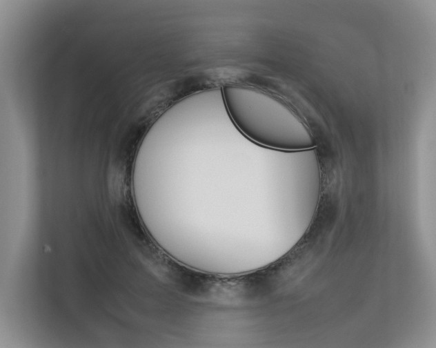 X0000112490599200908170953