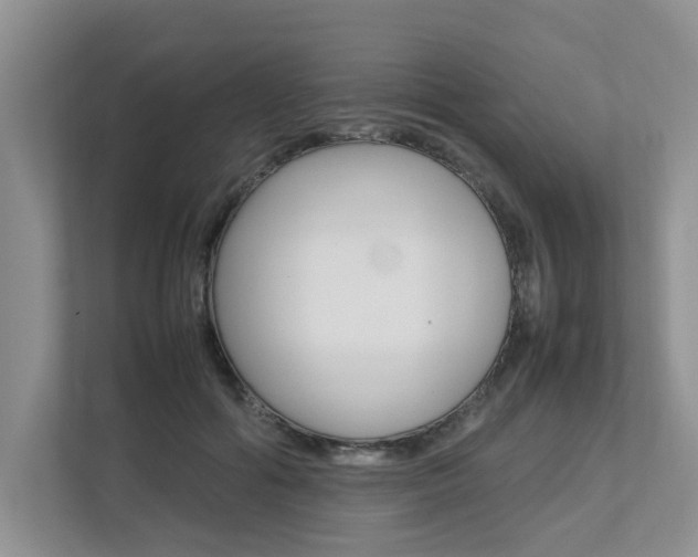 X0000112490602200908170953
