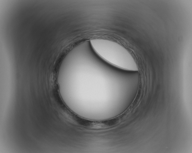 X0000112490605200908170953