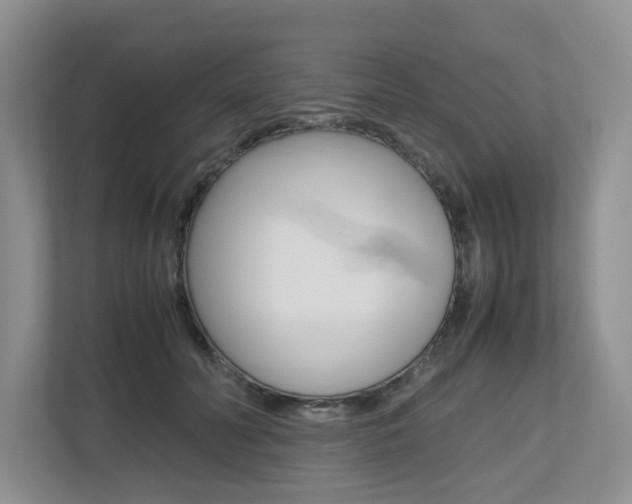 X0000112490606200908170953