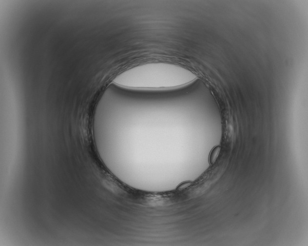 X0000112490616200908170952