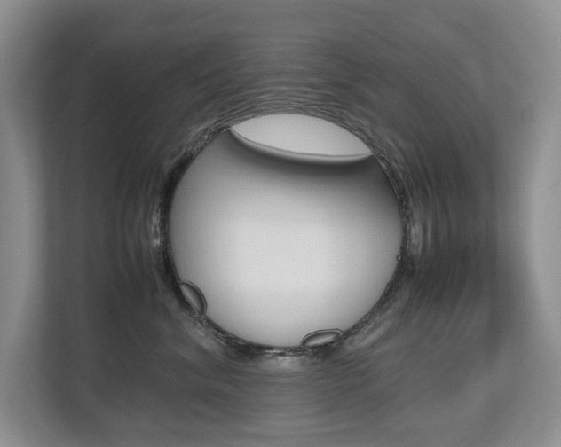 X0000112490620200908170952