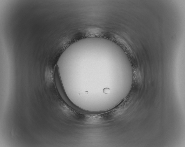 X0000112490621200908170952