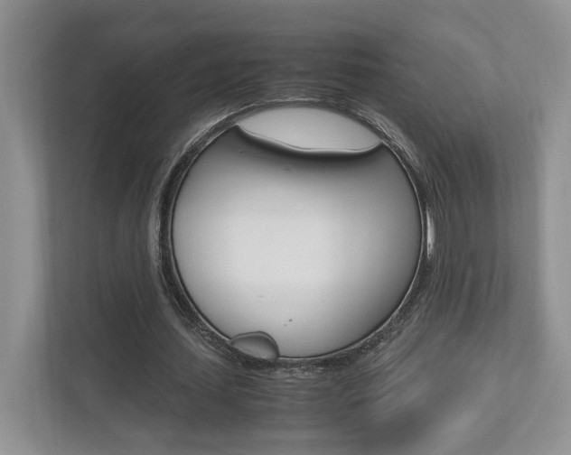 X0000112490627200908170952