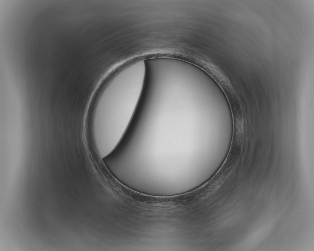 X0000112490628200908170952