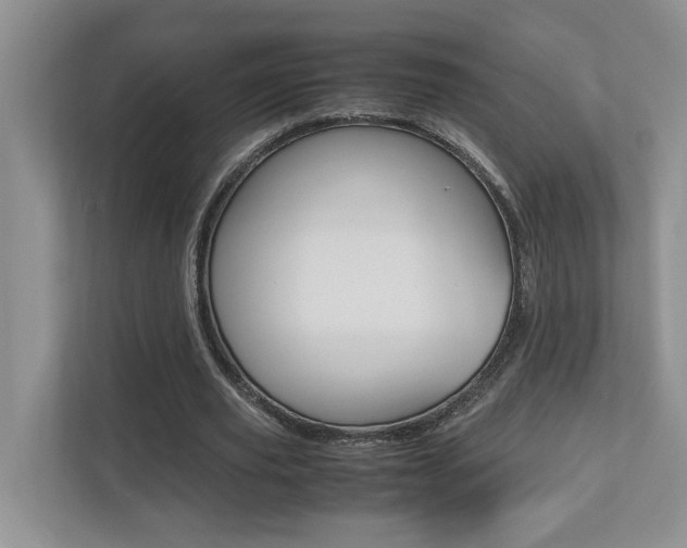 X0000112490629200908170952