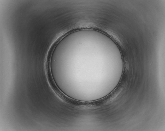 X0000112490630200908170952