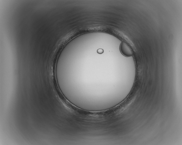 X0000112490633200908170952