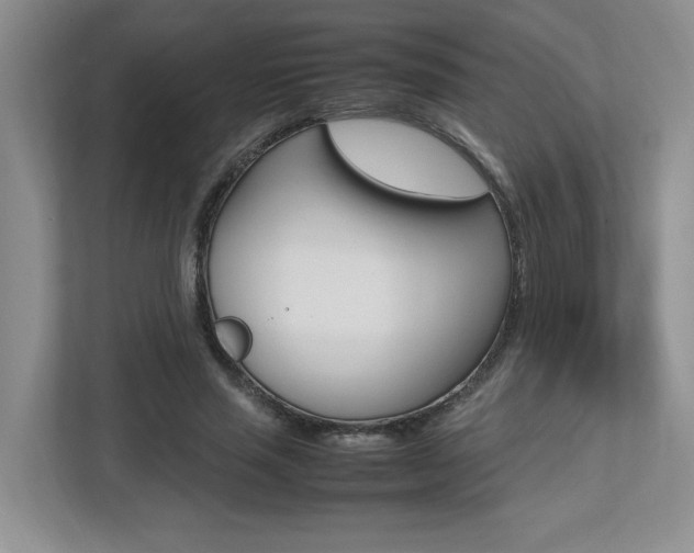 X0000112490637200908170952