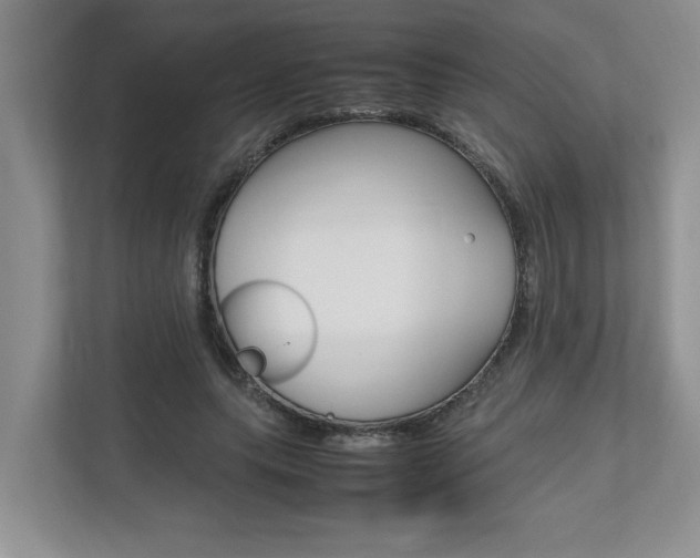 X0000112490639200908170952