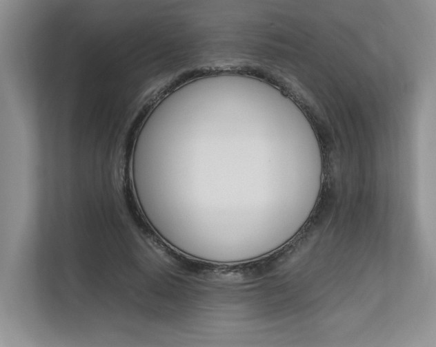 X0000112490640200908170952