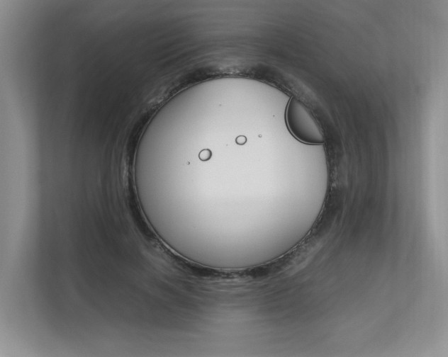 X0000112490646200908170952