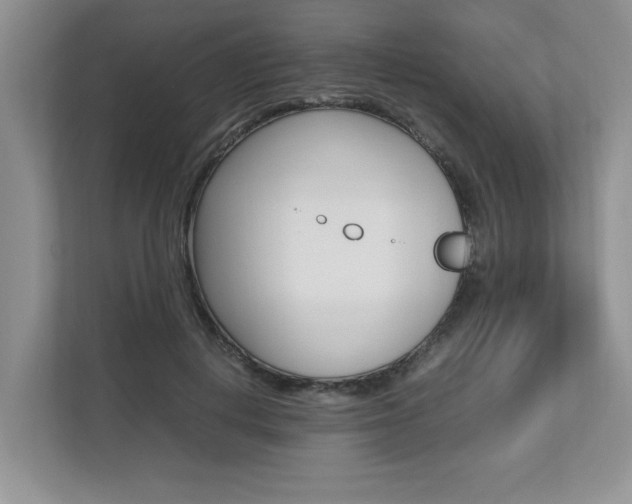 X0000112490648200908170952
