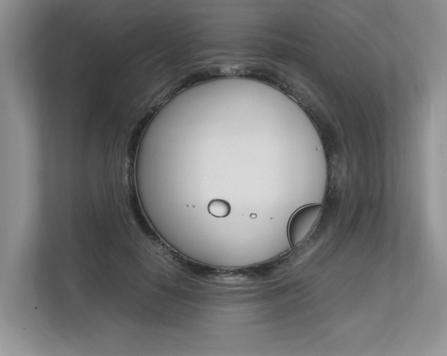 X0000112490650200908170952