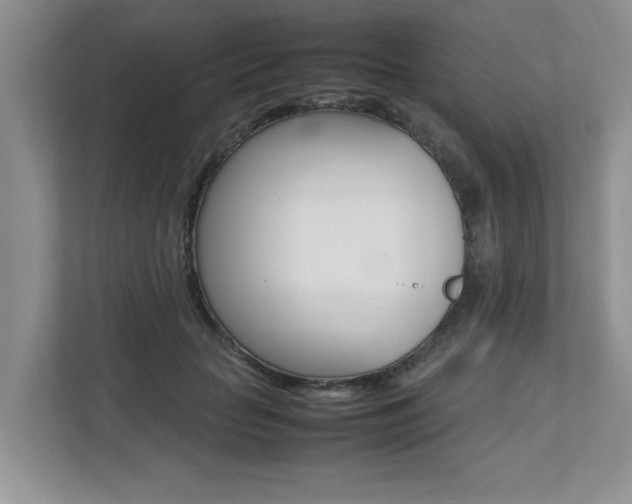 X0000112490653200908170952