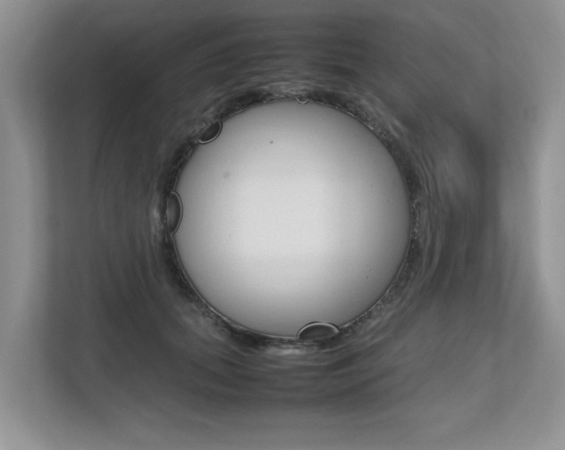 X0000112490655200908170952