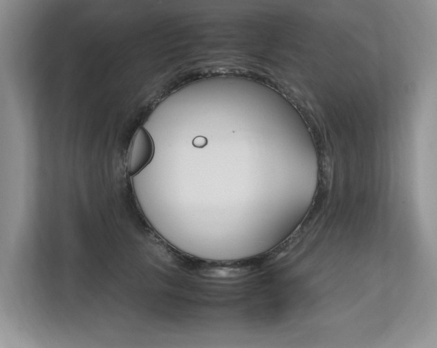 X0000112490657200908170952