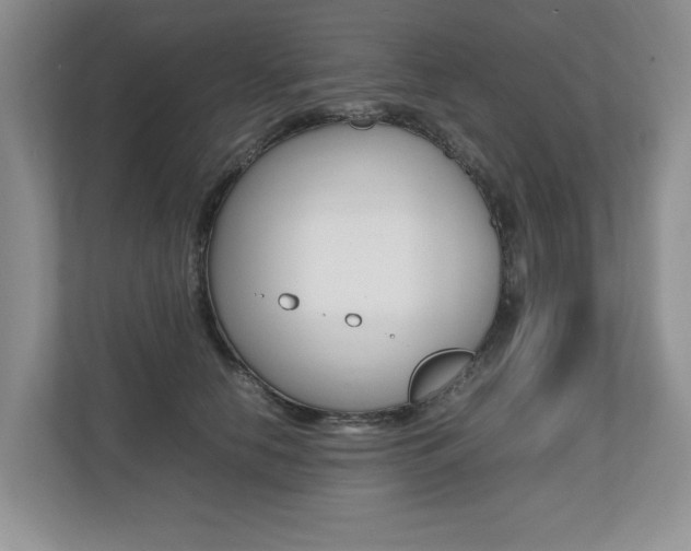 X0000112490658200908170952