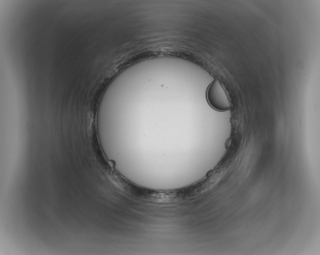 X0000112490660200908170952
