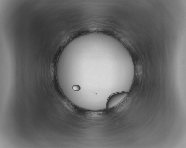 X0000112490664200908170952