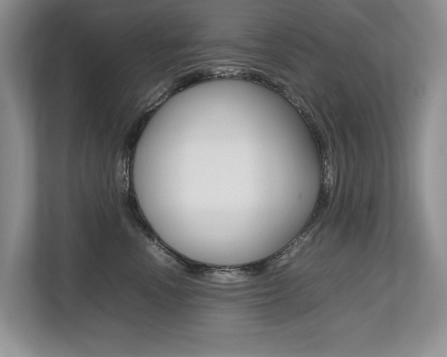 X0000112490666200908170952