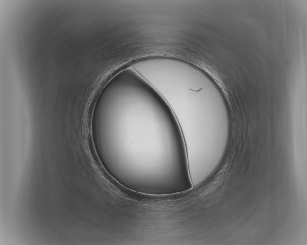 X0000112490673200908170952