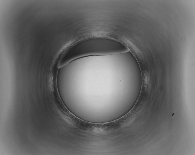 X0000112490684200908170952