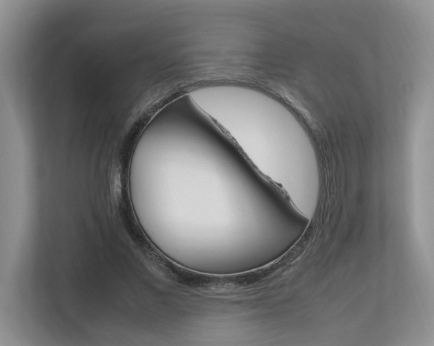 X0000112490685200908170951