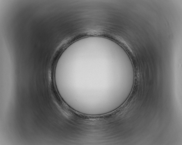 X0000112490686200908170951