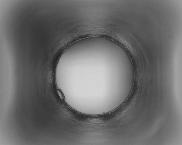 X0000112490689200908170951
