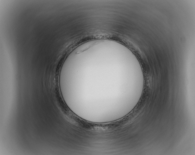 X0000112490690200908170951