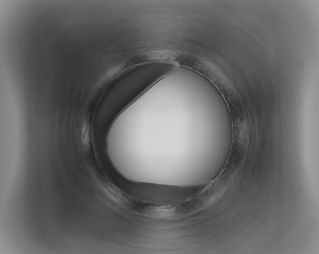 X0000112490692200908170951