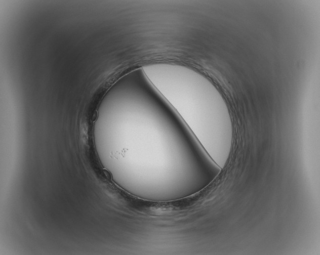 X0000112490693200908170951