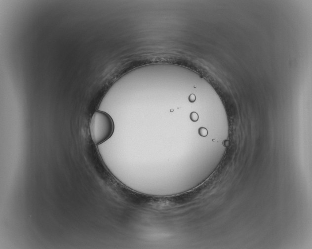 X0000112490695200908170951