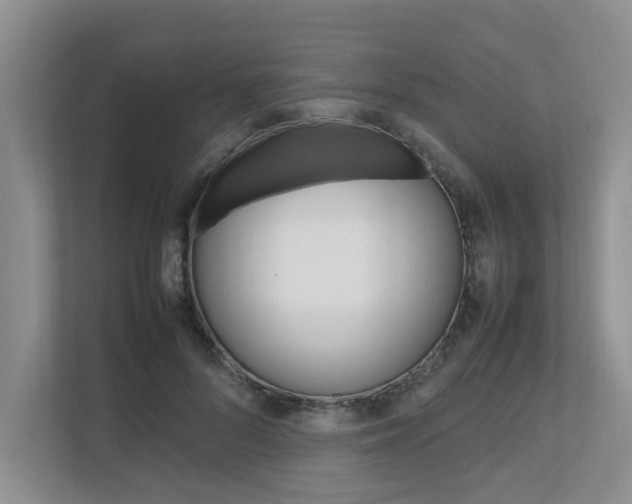 X0000112490696200908170951