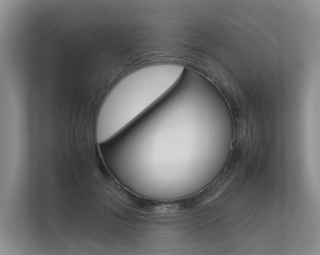X0000112490700200908170951