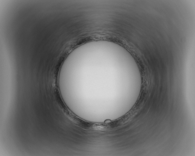 X0000112490706200908170951