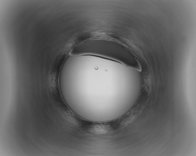 X0000112490708200908170951