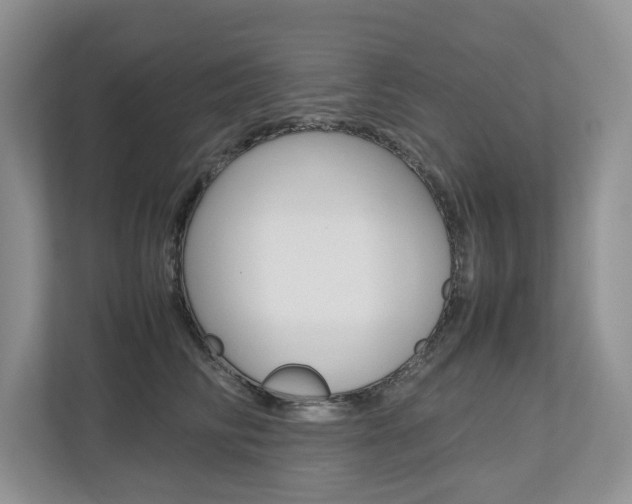 X0000112490710200908170951
