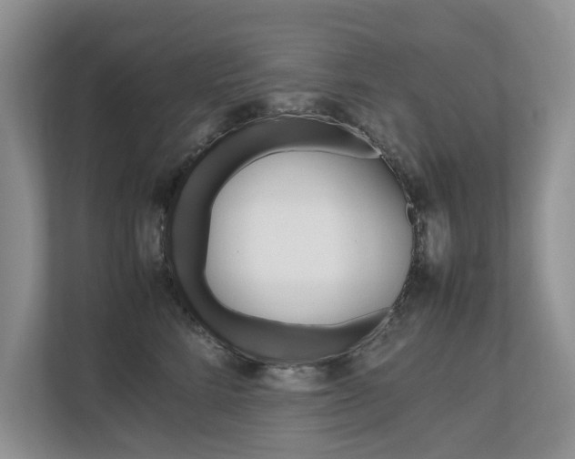 X0000112490712200908170951