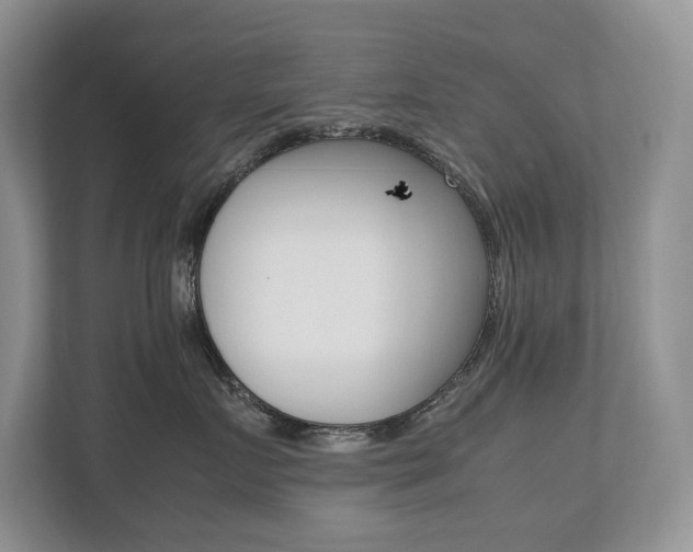 X0000112490719200908170951
