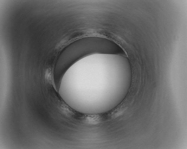 X0000112490720200908170951