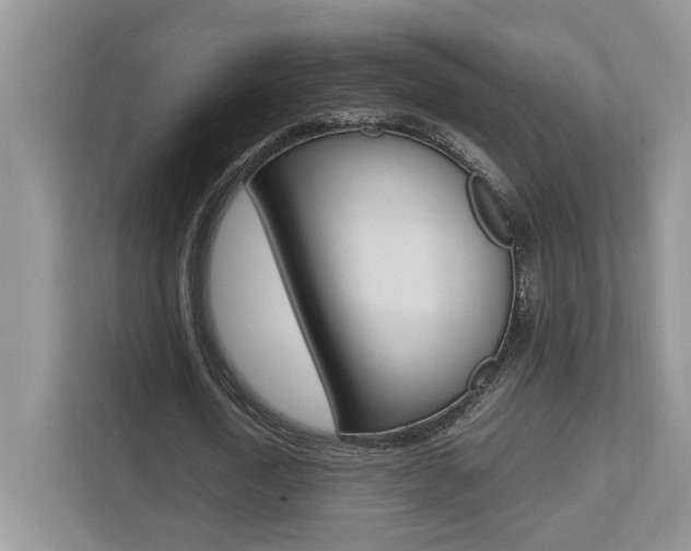 X0000112490722200908170950