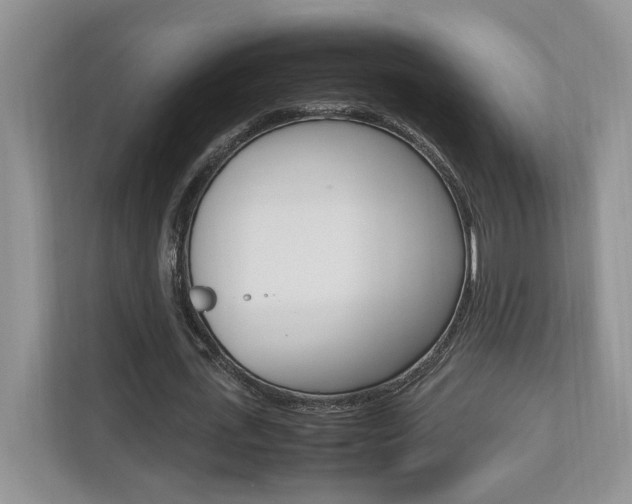 X0000112490723200908170950