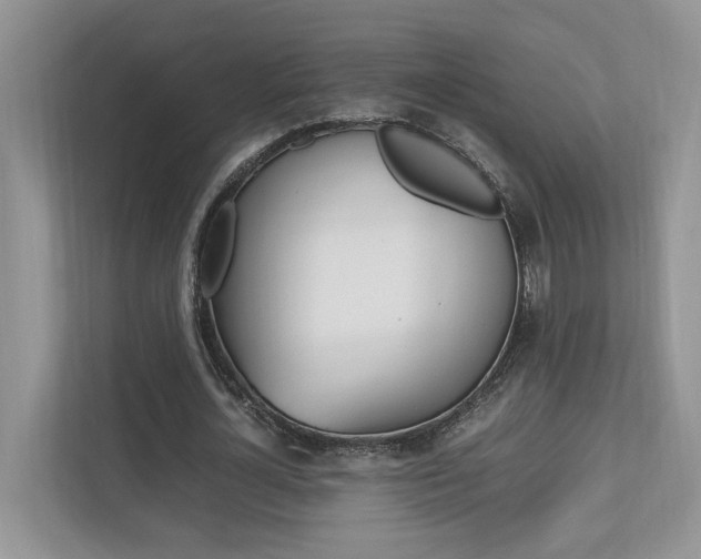 X0000112490724200908170950