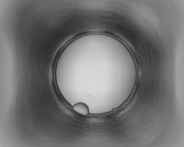 X0000112490725200908170950